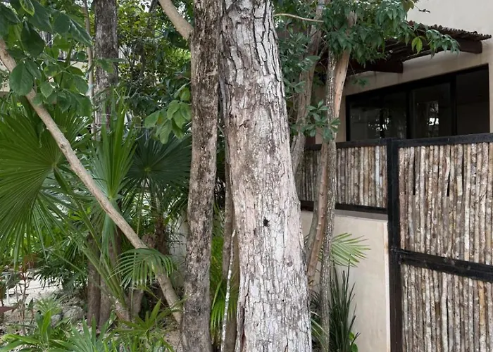 Brand New 2br In Gran Tulum